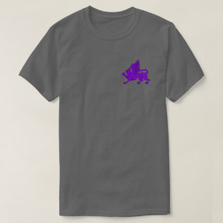 Camiseta Colina SCA Windmasters