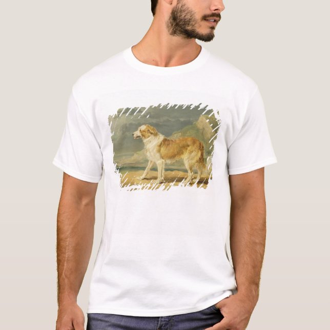Camiseta collie Áspero-revestido, 1809 (aceite a bordo) (Anverso)