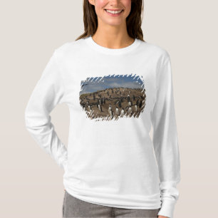 Camiseta Colonia Gentoo Penguin (Pygoscelis papua) en el oe