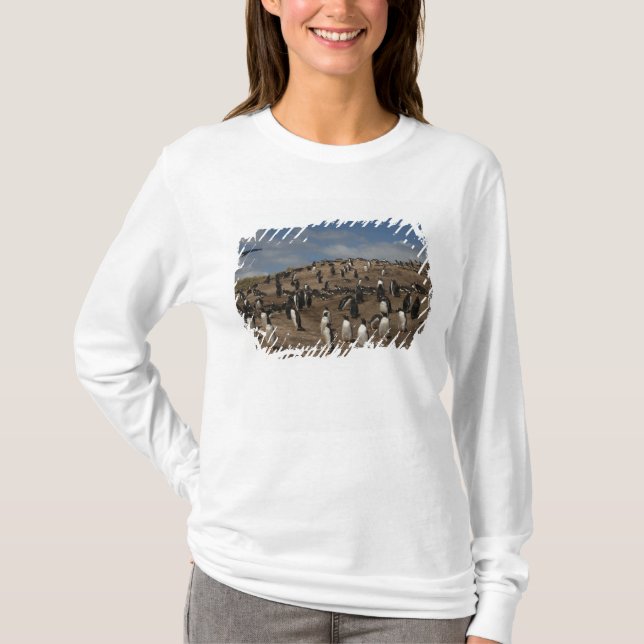 Camiseta Colonia Gentoo Penguin (Pygoscelis papua) en el oe (Anverso)