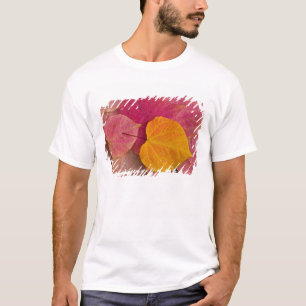 Camiseta Color de otoño en Forest Pansy Redbud caído