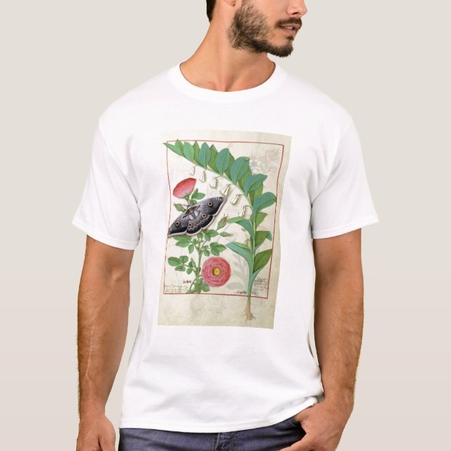 Camiseta Color de rosa y Polygonatum (Anverso)