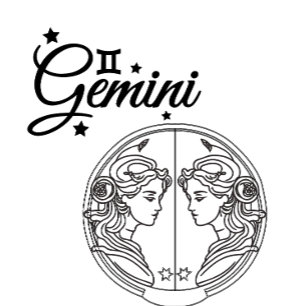 Camiseta Color "Gemini"