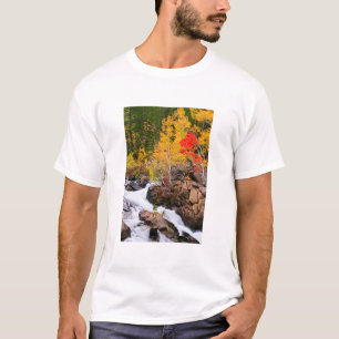 Camiseta Color otoñal a lo largo de Bishop Creek, CA