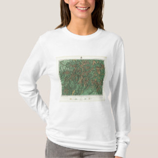 Camiseta Colorado 5