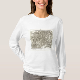 Camiseta Colorado 6