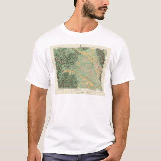 Camiseta Colorado 7