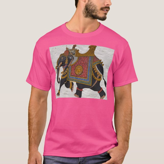 Camiseta Colores De La India (Anverso)