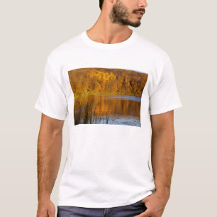 Camiseta Colores de otoño en Maplewood State Park cerca