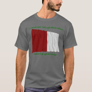 Camiseta Colores del condado Galway