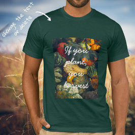 Camiseta Coloridas calabazas y calabazas otoñales