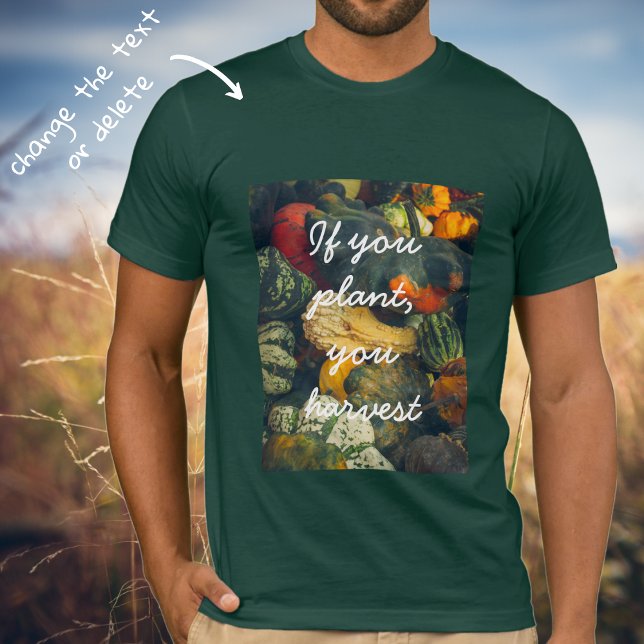 Camiseta Coloridas calabazas y calabazas otoñales (Subido por el creador)