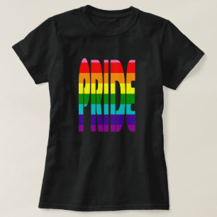 Camiseta Colorido texto arcoiris LGBT Apoyo al orgullo gay 