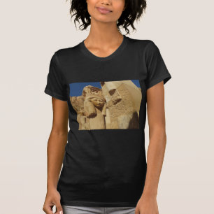 Camiseta Columna de Hathor - templo de la reina Hatshepsut,