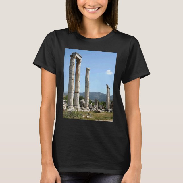Camiseta Columnas Iónicas Del Templo De Afrodita Afrodisi (Anverso)