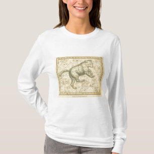 Camiseta Comandante de Ursa