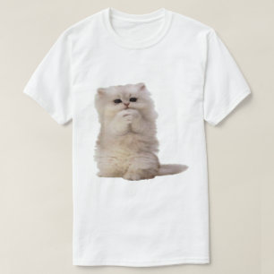 Camiseta Cómo hacer una rampa para gatos