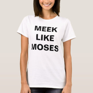 Camiseta Como Moisés