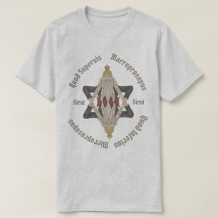 Camiseta Como se indica a continuación