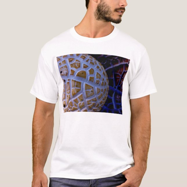 Camiseta compartimental (Anverso)