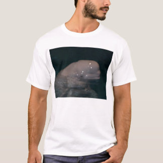 Camiseta compinche la beluga