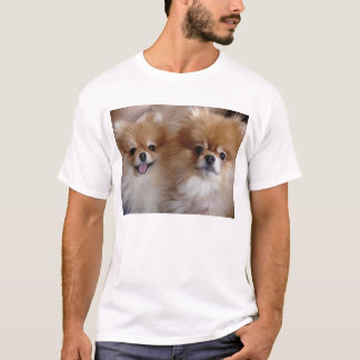 Camiseta Compinches de Pomeranian