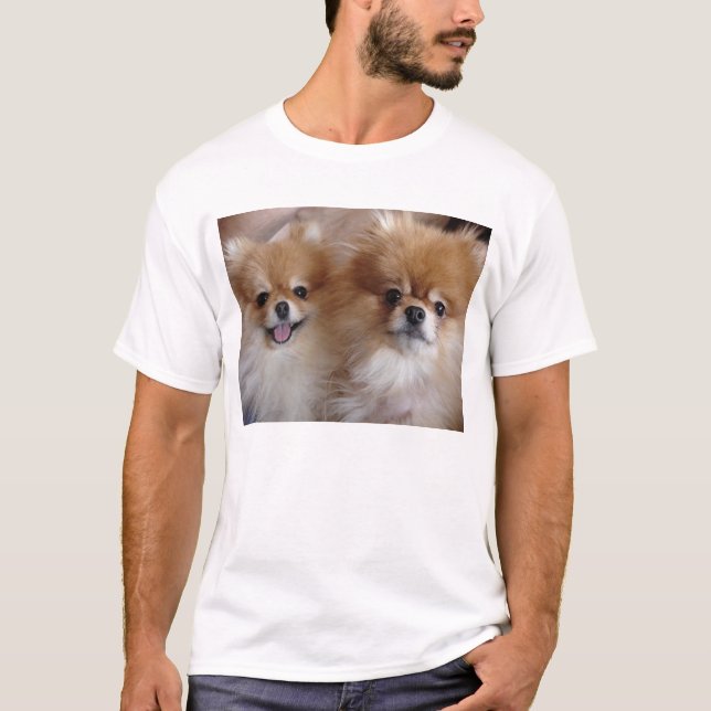 Camiseta Compinches de Pomeranian (Anverso)