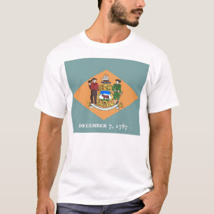 Camiseta con bandera del estado de Delaware Estado