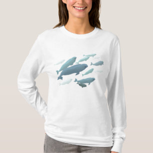 Camiseta con capucha de ballena Beluga para mujere