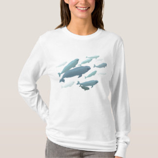 Camiseta con capucha de ballena Beluga para mujere