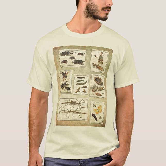 Camiseta con errores - ilustraciones científicos (Anverso)