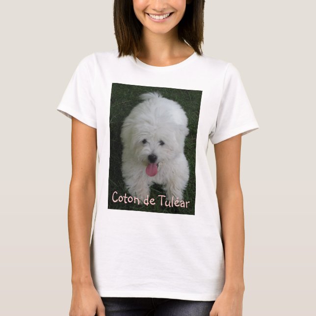 Camiseta con la foto del perro, algodón de Tulear (Anverso)