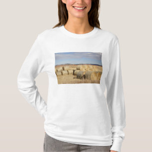 Camiseta Condado de Crook, Pacas de Heno