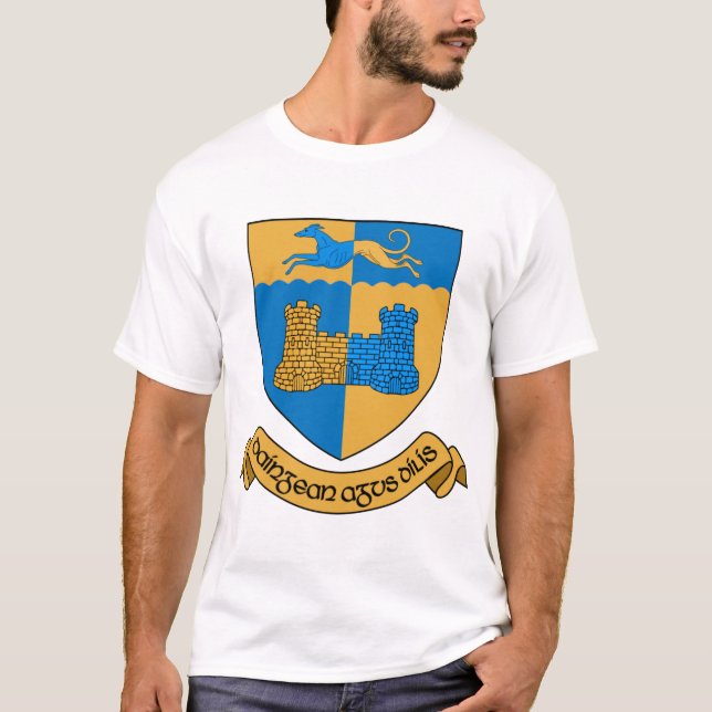Camiseta Condado de Longford Irlanda (Anverso)