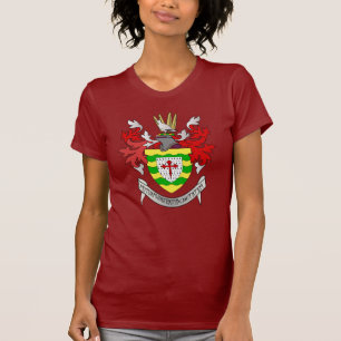 Camiseta Condado Donegal, Irlanda
