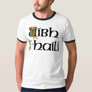 Camiseta Condado Offaly (gaélico)