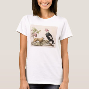 Camiseta Cóndor y mono de león, nativos de Chile o Ecuador
