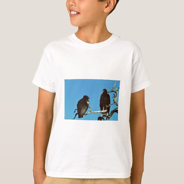 Camiseta Cóndores juveniles (Anverso)