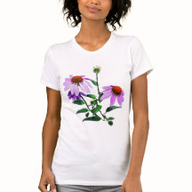 Conefluencia púrpura