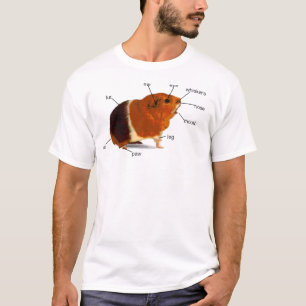 Camiseta Conejillo de Indias