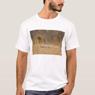 Camiseta Conejo de cola blanca saltando