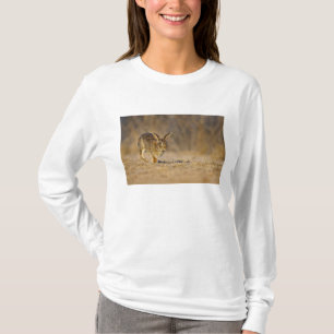 Camiseta Conejo de cola de algodón oriental saltando