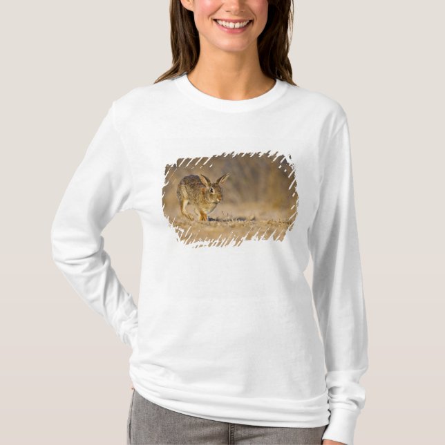 Camiseta Conejo de cola de algodón oriental saltando (Anverso)