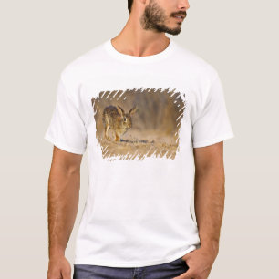 Camiseta Conejo de cola de algodón oriental saltando