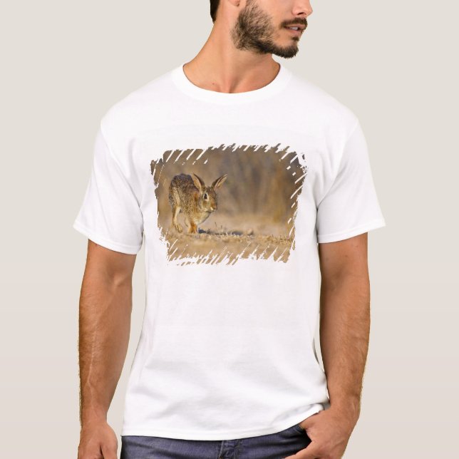 Camiseta Conejo de cola de algodón oriental saltando (Anverso)