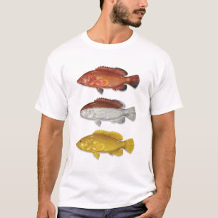 Camiseta Coney Grouper