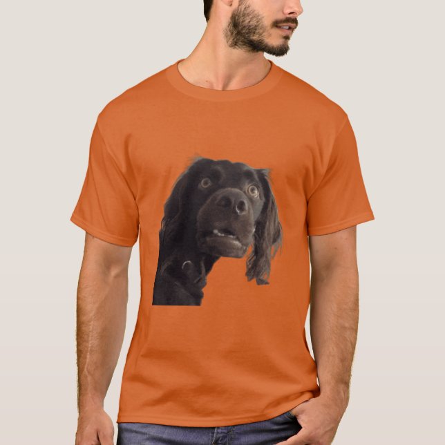Camiseta Confused Dog Meme Surprised Dog Meme friends (Anverso)