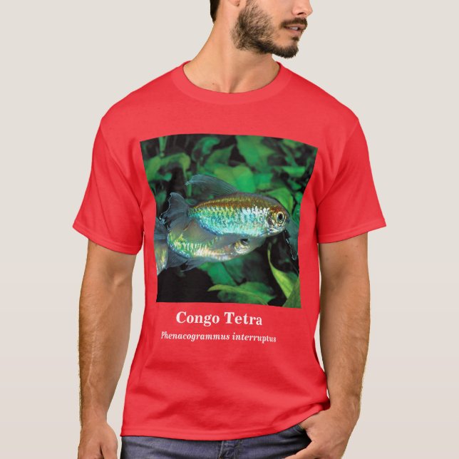 Camiseta Congo tetra , Phenacogrammus interruptus (Anverso)