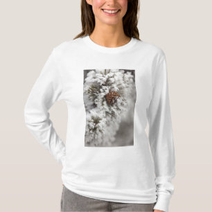 Camiseta Cono del pino de Lodgepole en invierno en