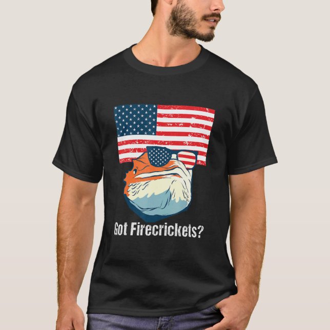 Camiseta Conseguí Dragón Con Barrido De Firecrickets 4 De J (Anverso)